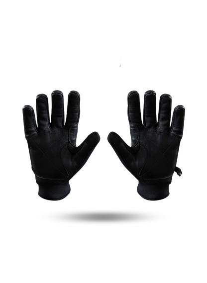 Approach Glove